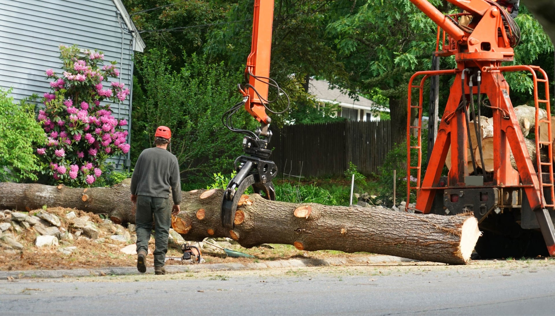 Local partner for Tree removal services in Pocatello