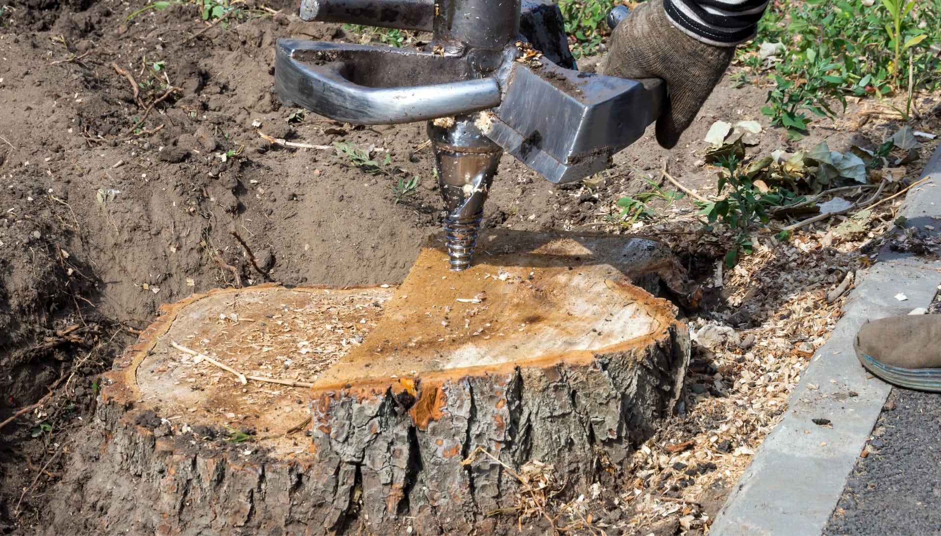 Pocatello Tree stump removal